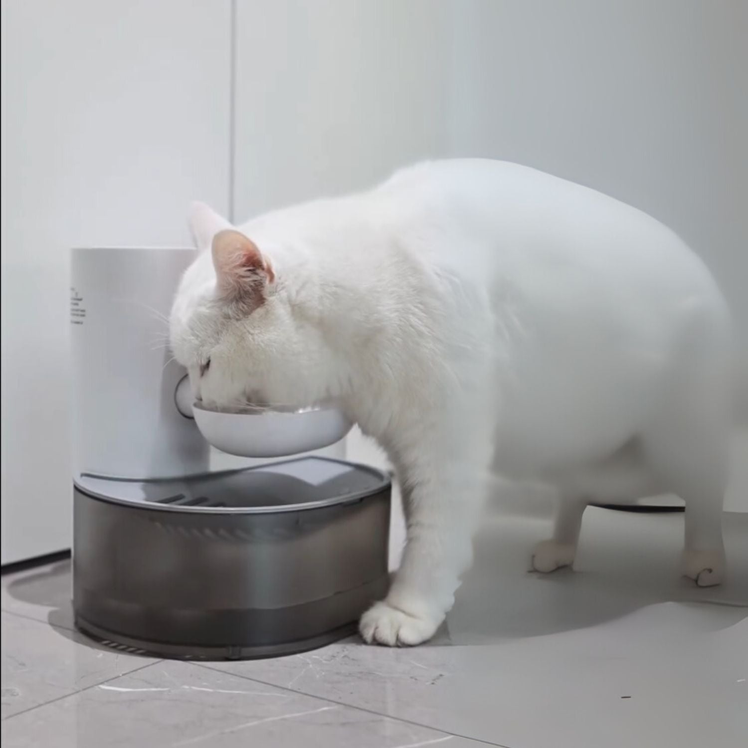 katten drinkfontein slim witte kat drinkt uit smart waterbak